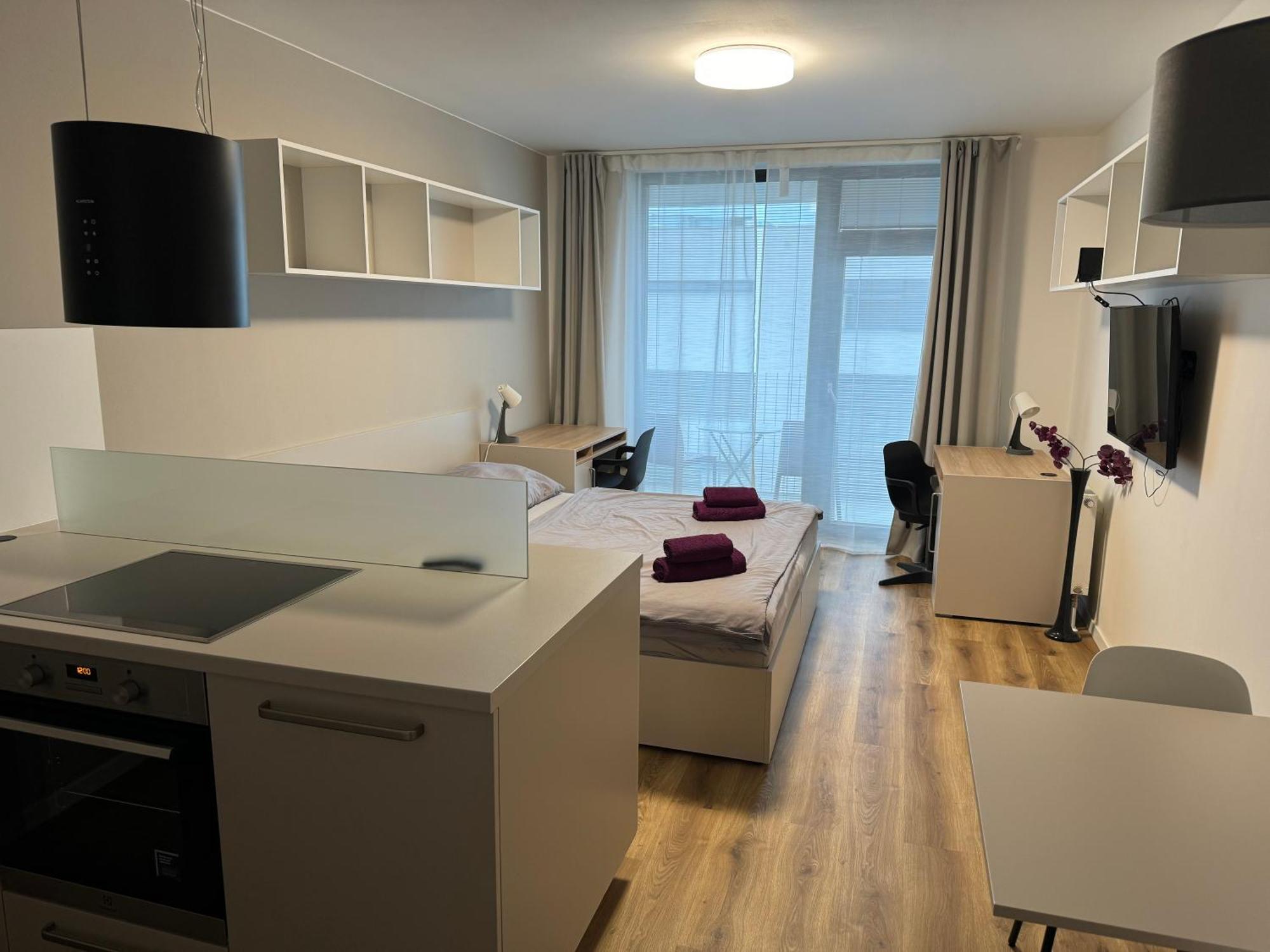 Violet Apartment Μπρνο Εξωτερικό φωτογραφία